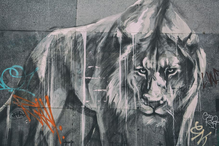 ampla, tiro do ângulo, leão de arte de rua, grafite, Grande angular, tiro, leão, urbano, arte de rua, animal