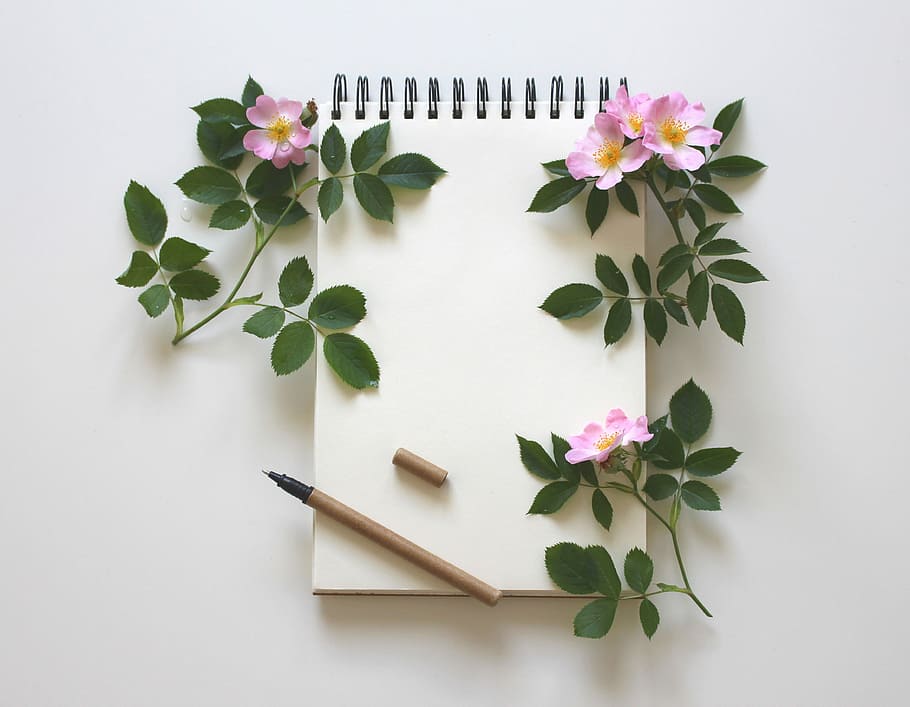 white, notebook, purple, flowers, leave, notes, writing tool, schreiber, stationery, paper