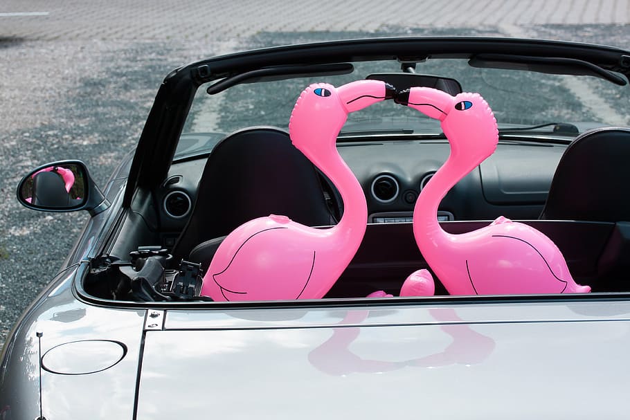 two, pink, inflatable flamingos, grey, coupe, flamingo, inflatable, romantic, lovers, auto
