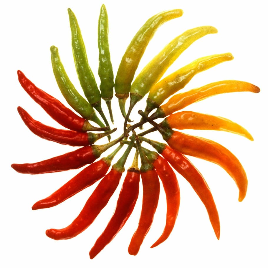 red, green, yellow, chili lot, circle, Chili Peppers, paprika, chili, sharp, pepperoni