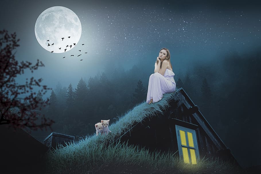 manipulation, roof, moon, full moon, grass, woman, cat, animal, trees, fog