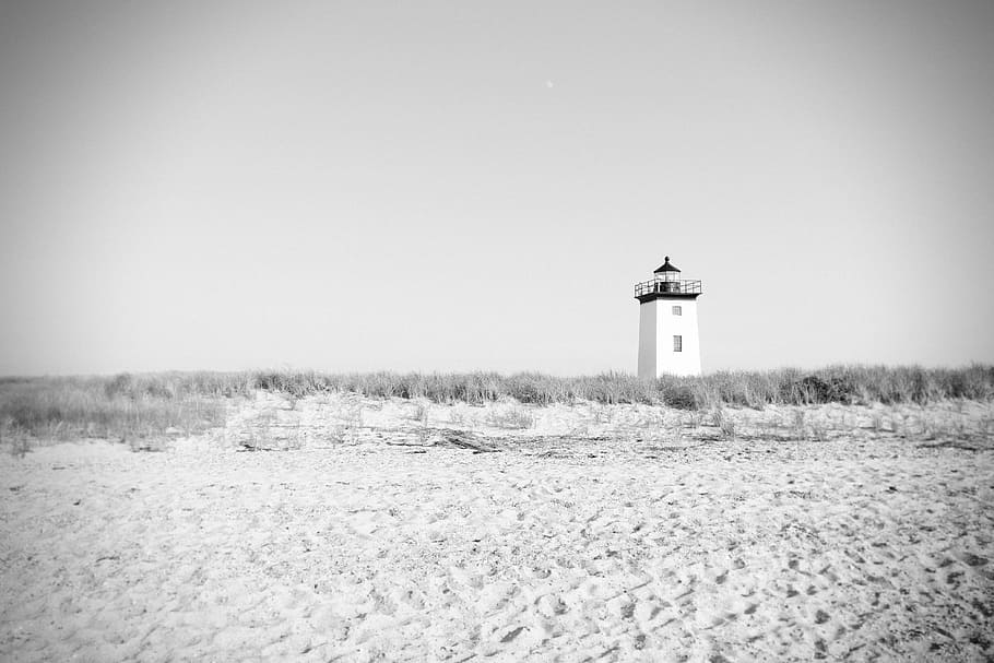 lighthouse, surrounded, grass grayscale photography, grayscale, white, near, grass, beach, sand, bushes