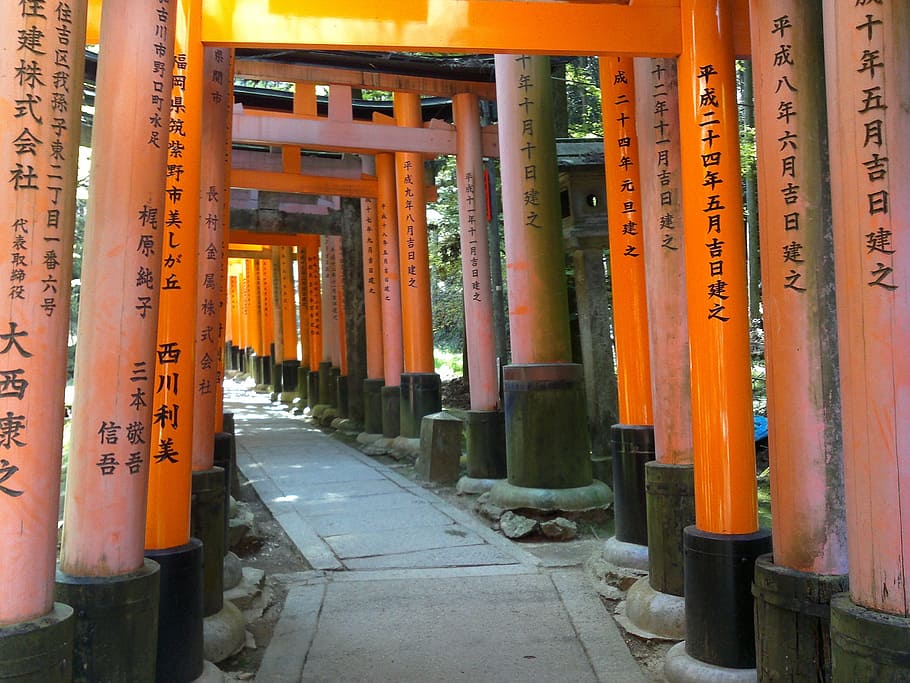 Japan, Tori, Kyoto, fushimiinari, temples, buddhism, orange color, religion, spirituality, shrine