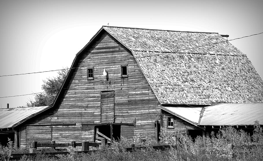barn, building, structure, farm, farmhouse, countryside, old, shed, rustic, house