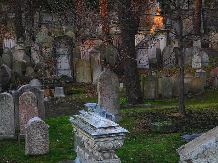 burial lot, various, tombstones, cemetery, jewish, judaism, old, grave, historical, hebrew