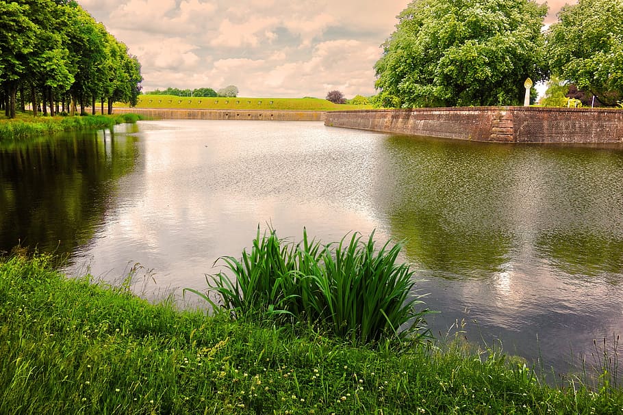 moat, banks, fortress, sixteenth century, old, historical, naarden-vesting, netherlands, europe, plant