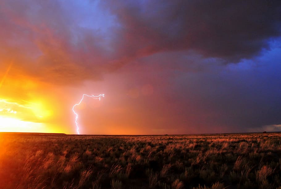 grain field, lightning, storm, sky, weather, landscape, bolt, cloud, dark, thunderstorm