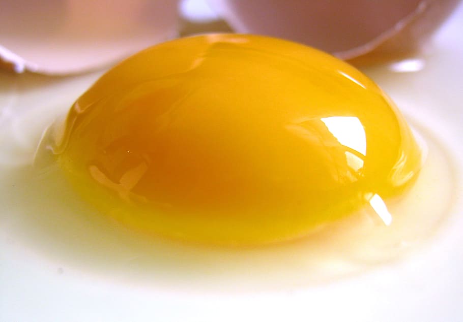 soleado, lado, huevo, yema de huevo, crudo, amarillo, blanco, ingrediente, dieta, desayuno