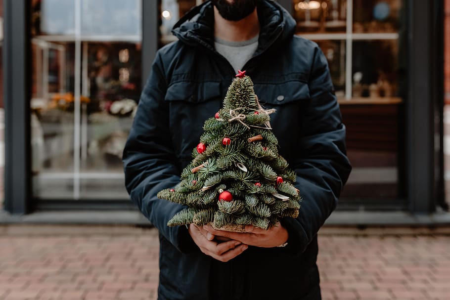 christmas tree, small, xmas, december, holiday, tree, spruce, red, man, holding