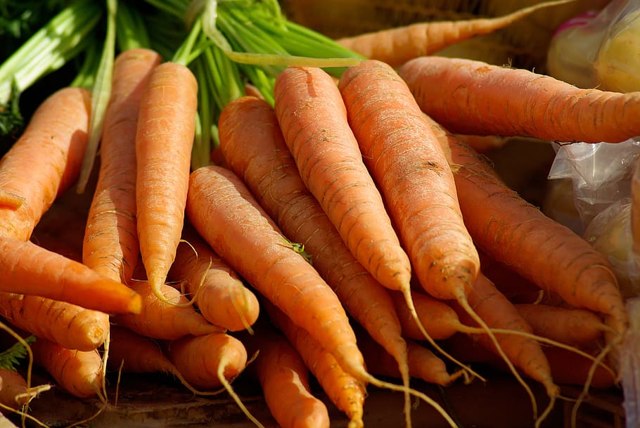 sekelompok wortel, Wortel, Sayuran, Kebun Sayuran, pasar, makanan dan minuman, sayuran akar, organik, makanan, makanan sehat