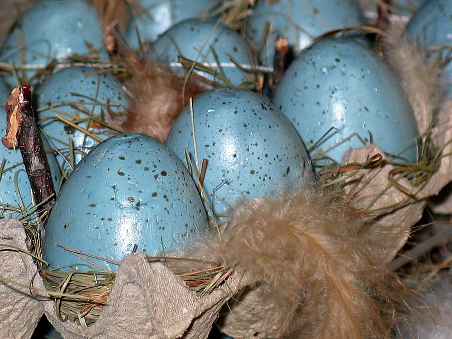 easter eggs, easter nest, easter, easter egg, spring, decoration, colorful, egg, colorful eggs, color