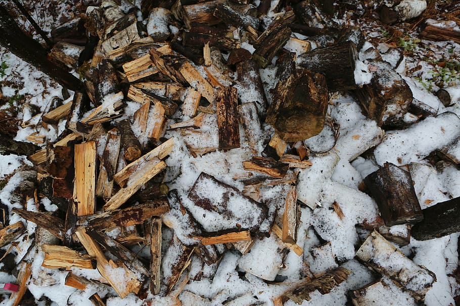 kayu bakar, tertutup, salju, memotong, log, daun, kayu, musim dingin, dingin, full frame