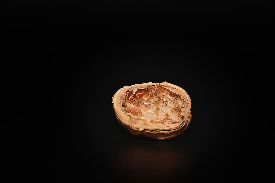 walnut, empty walnut, empty, halved walnut, cut in half, close, black background, studio shot, indoors, copy space