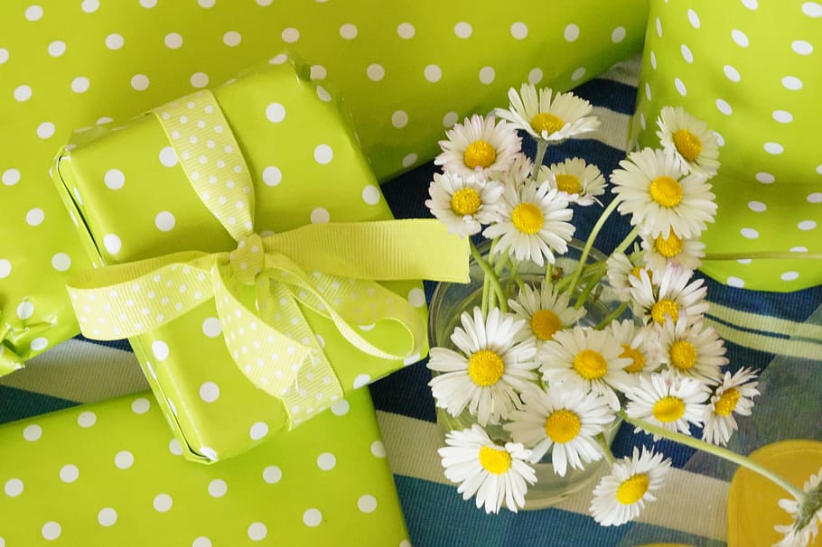 화이트, 노랑, 꽃들, 생일, 생일 테이블, 선물, 축하하다, 축하, 제전, 포장 된
