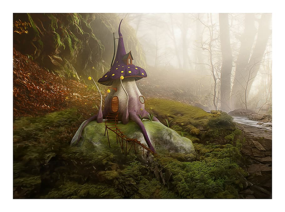 mushroom, magic, forest, light, mist, magic forest, nature, fantasy, landscape, fantasy landscape