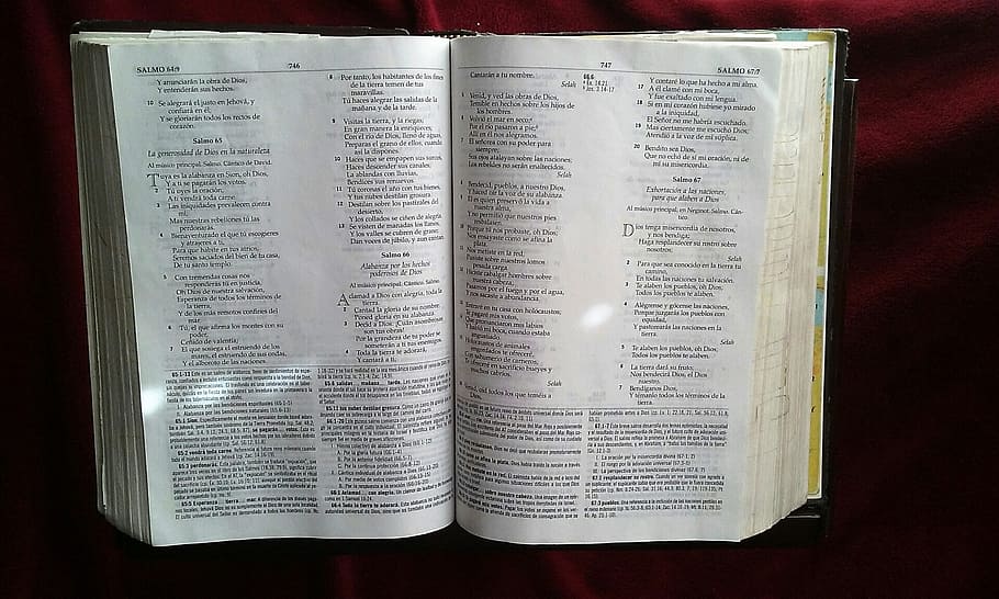 Alkitab, iman, buku, suci, yesus, kristus, tulisan suci, harapan, wasiat, rahmat