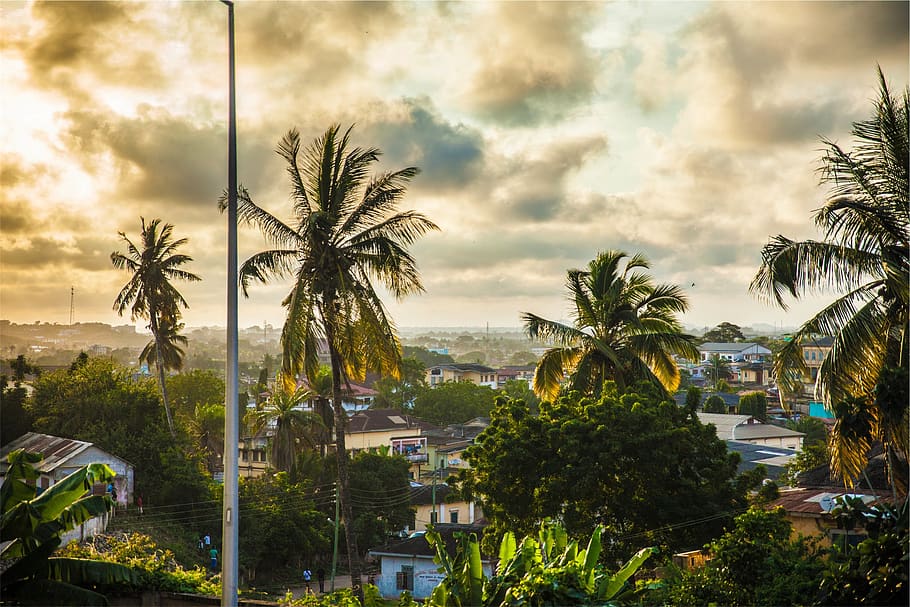 palm trees, tropical, houses, sky, clouds, city, town, sunset, tree, palm tree