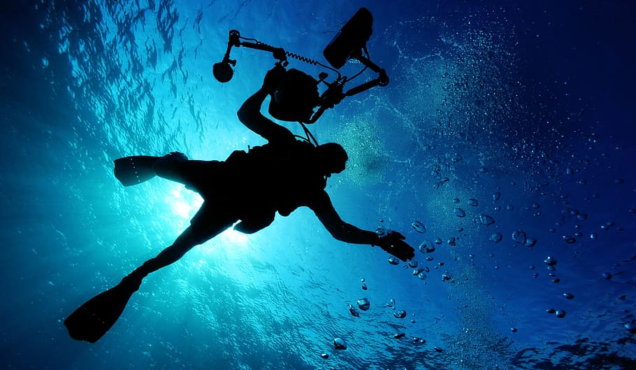 person, wearing, diving, suit, holding, camera, underwater, day, sea, ocean
