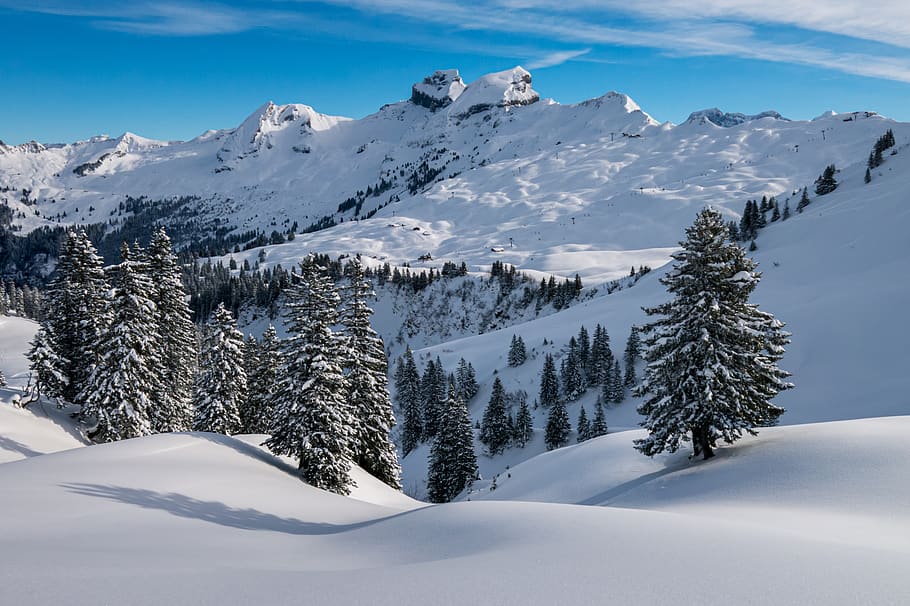 winter, hochybrig, foothills of the alps, swiss alps, switzerland, nature, snow, mountains, sky, powder snow