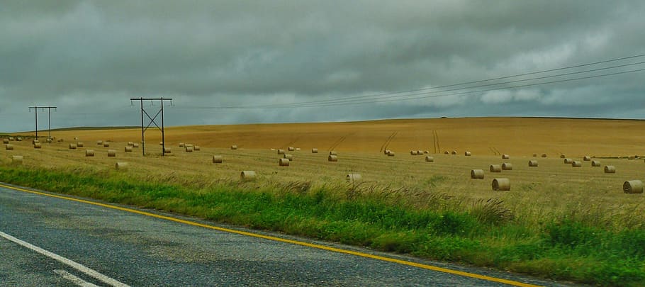 road, landscape, hay bales, field, nature, wide, meadow, cereals, agriculture, sky