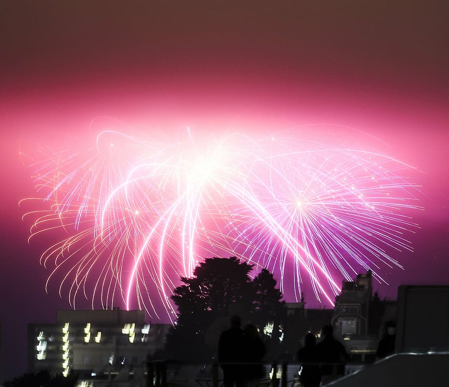 photography, firework, sky, trees, house, aerial, pink, fireworks, high, rise