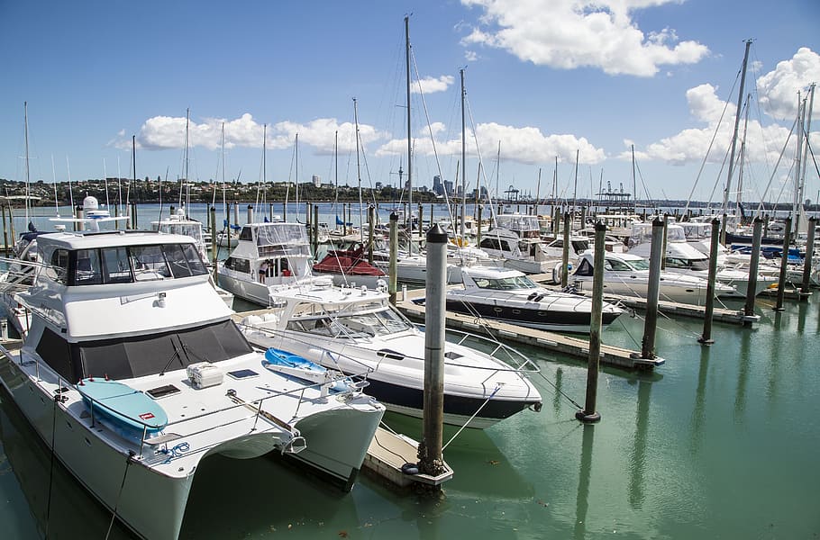 white, boats, body, water, New Zealand, Auckland, Beach, Pier, blue sky, white cloud