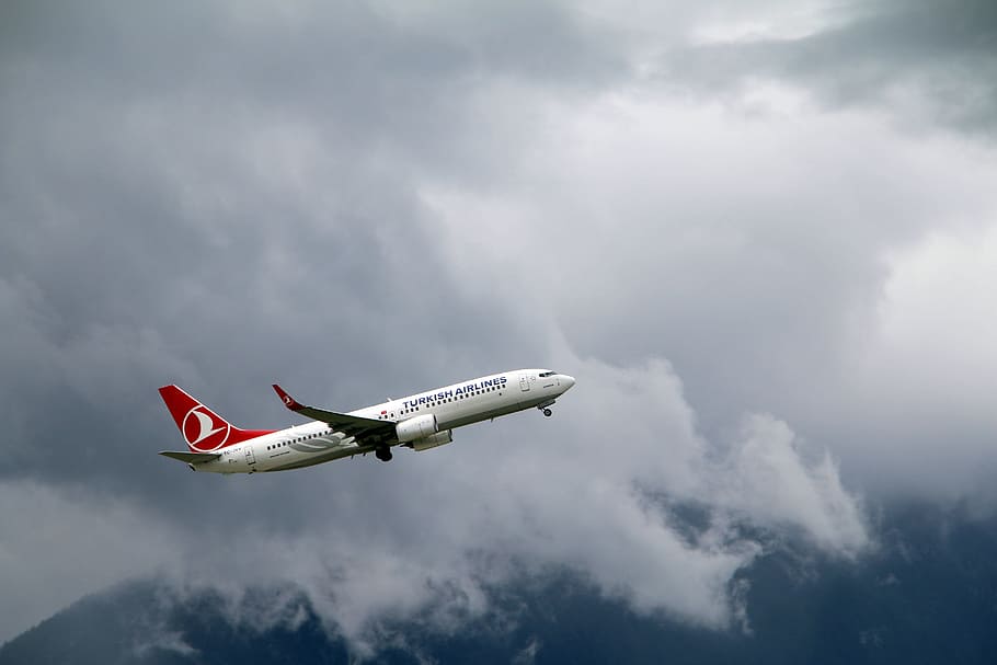 avión de pasajeros, medio, aire, avión, aerolíneas turcas, boeing, 737, aviación, viajes, folleto