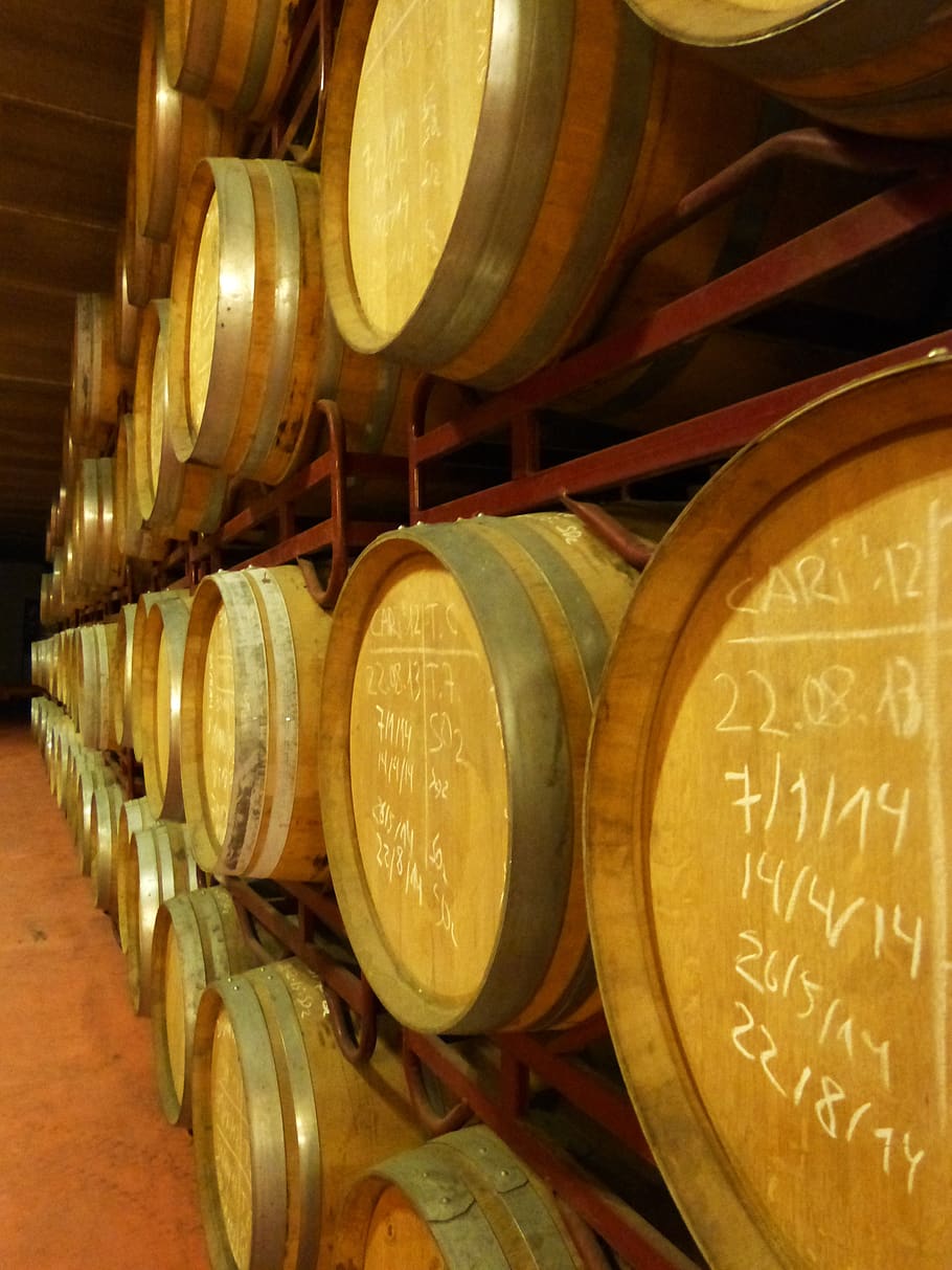 casks, ageing of wine, winery, falset, cellar, barrel, wine cellar, food and drink, refreshment, wine