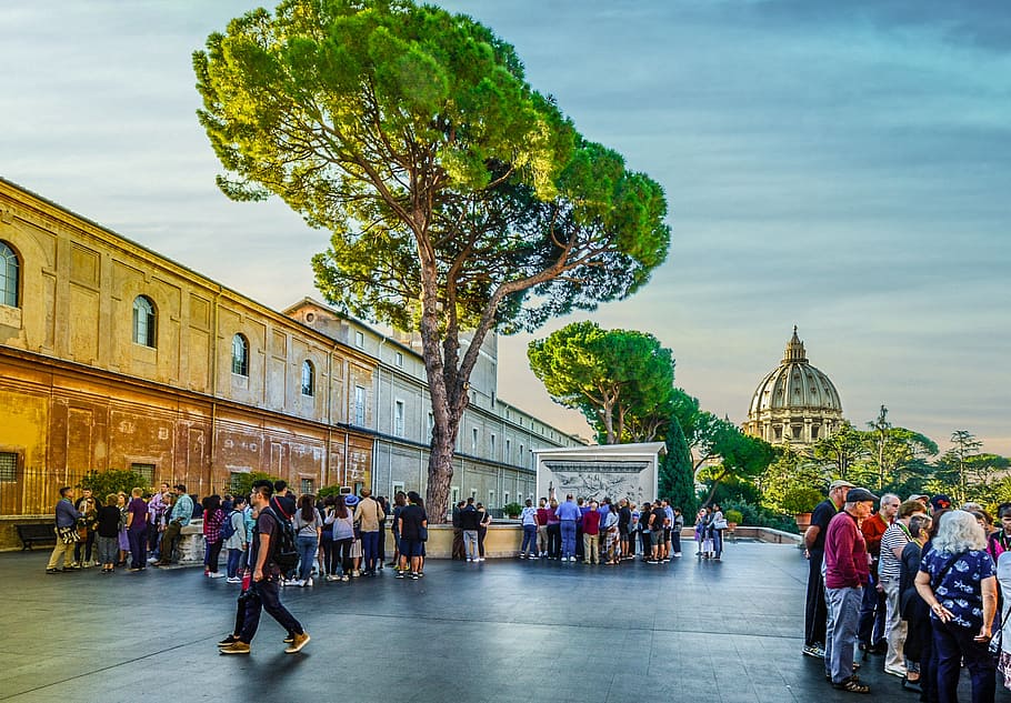 roma, italia, pohon, vatikan, paus, perjalanan, pariwisata, wisatawan, grup, Eropa
