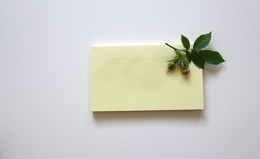 green, leaf, white, sticky, notes, note, leave, office, paper, write down