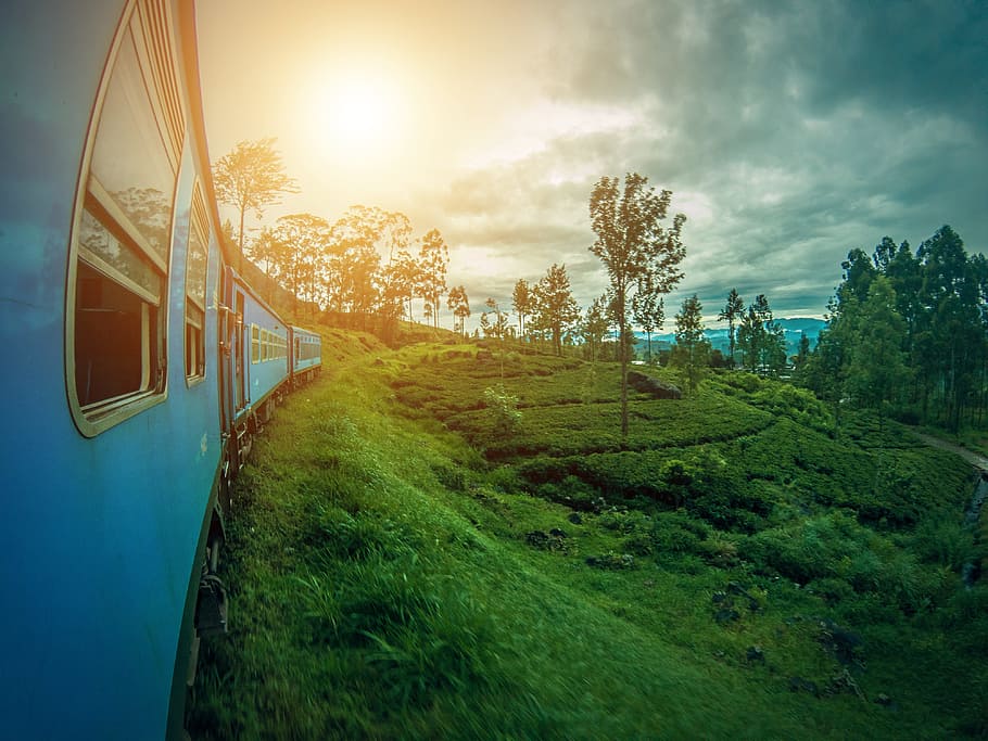 blue, train, green, grass, daytime, srilanka, ella, landscape, hill, lanka