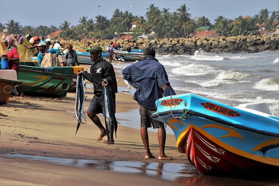 pessoas, em pé, barco, dia, peixe, praia, oceano índico, uma vila de pescadores, areia, as ondas