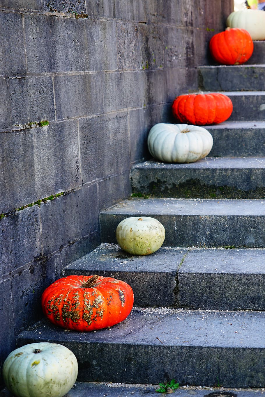 pumpkin, gradually, grey, orange, white, stair step, stairs, stone stairway, stone, staircase