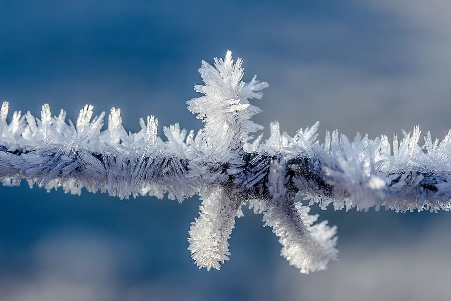 снежинки, ветка дерева, eiskristalle, мороз, замороженный, холодный, лед, кристаллы, иней, образование кристаллов