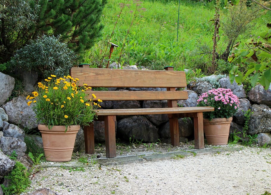 brown, wooden, bench, purple, yellow, chrysanthemums, seat, bank, wooden bench, sit