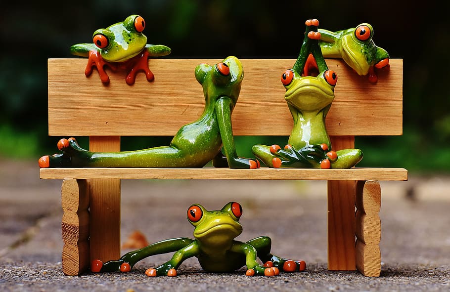 five, green, tree frogs, brown, wooden, bench, frogs, yoga, bank, relaxed