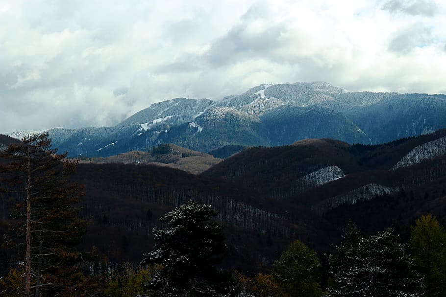 산, 자연, 풍경, 숲, 구름, 루마니아, 가을, 산 풍경, 하늘, 식물