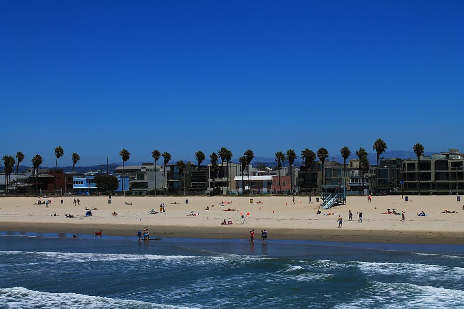 beach, santa monica, california, blue, sky, clear, sea, water, group of people, architecture