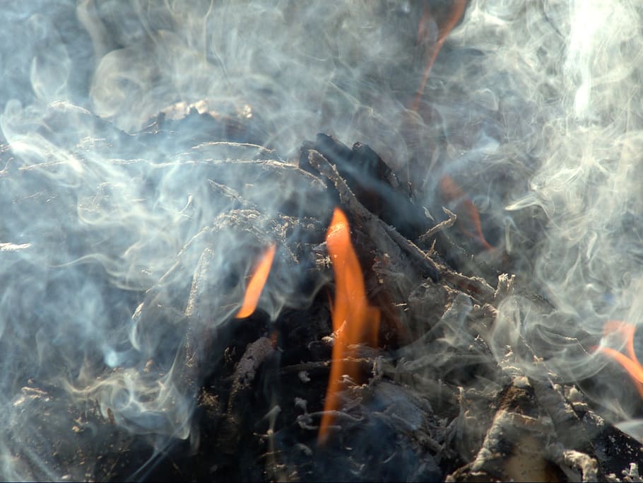 흰 연기, 연기, 불, 위험한, 뜨거운, 타고있는, 불꽃, 불타는듯한 빛깔, 목재, 로그