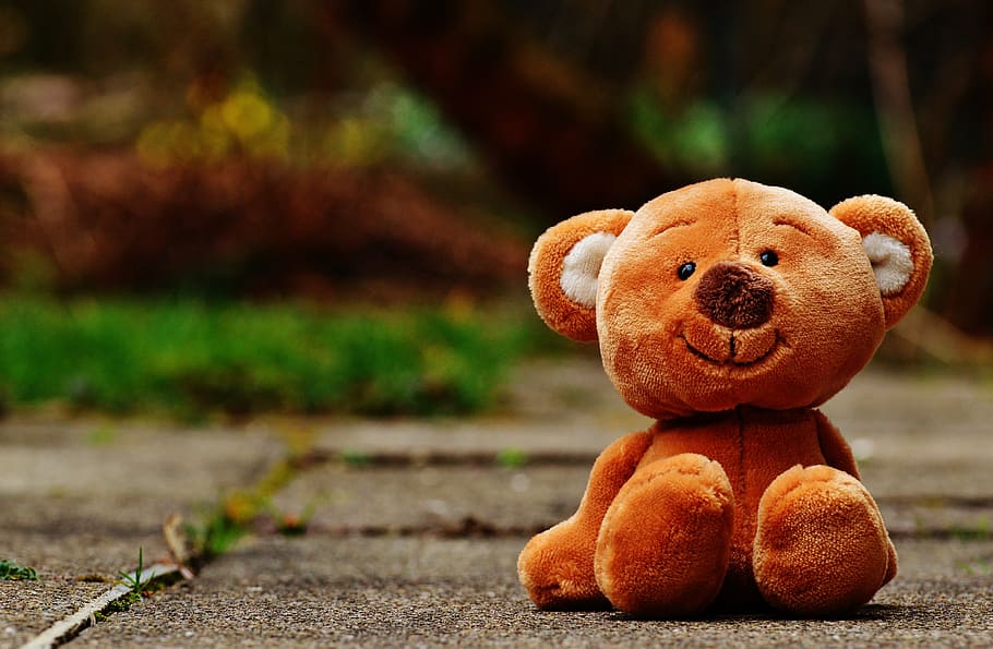 bear, plush, toy, gray, surface, teddy, soft toy, stuffed animal, teddy bear, brown bear
