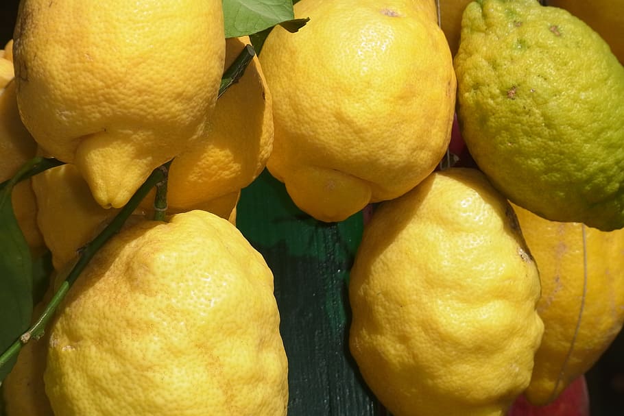 limone, fruit, citrus fruits, vitamins, fruity, lemon, yellow, citrus fruit, citrus, sour