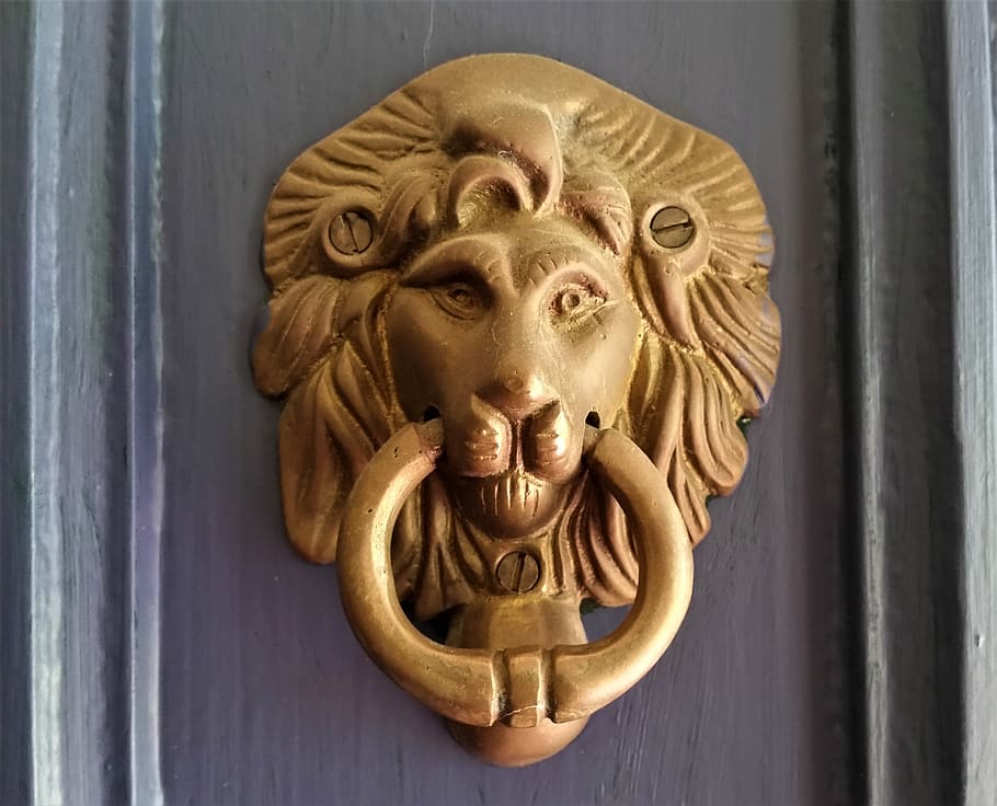 singa, pintu, gagang pintu, pengetuk, tua, menangani, logam, jalan masuk, dekorasi, kepala