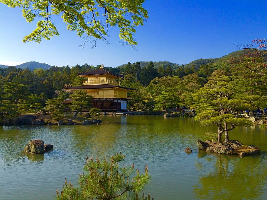 temple, golden, pavilion, Japan, Temple Of The Golden Pavilion, vision, tree, architecture, building exterior, water
