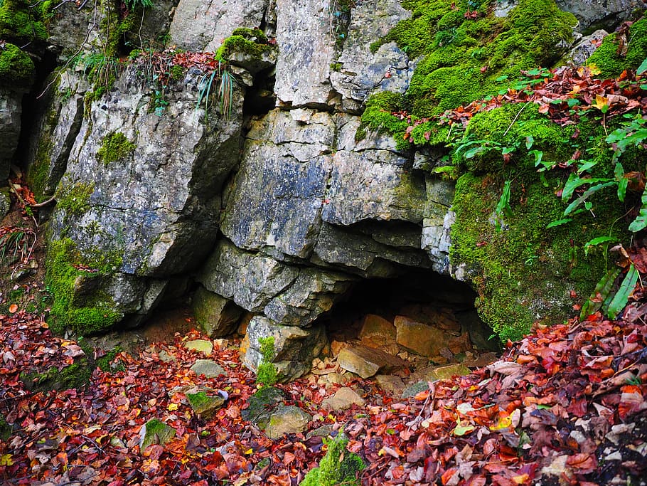 red, leaf, wall, cave entrance, eng, cave, cave tour, dangerous, cavity, adventure