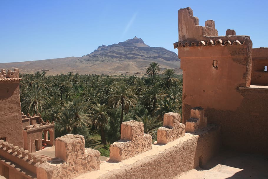 gurun, oasis, masyarakat, kasbah, maroko, lanskap, afrika, alam, arsitektur, struktur yang dibangun