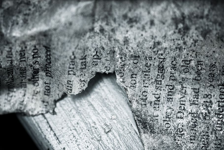 old, vintage, book, page, burned, letters, wood, selective focus, close-up, wood - material