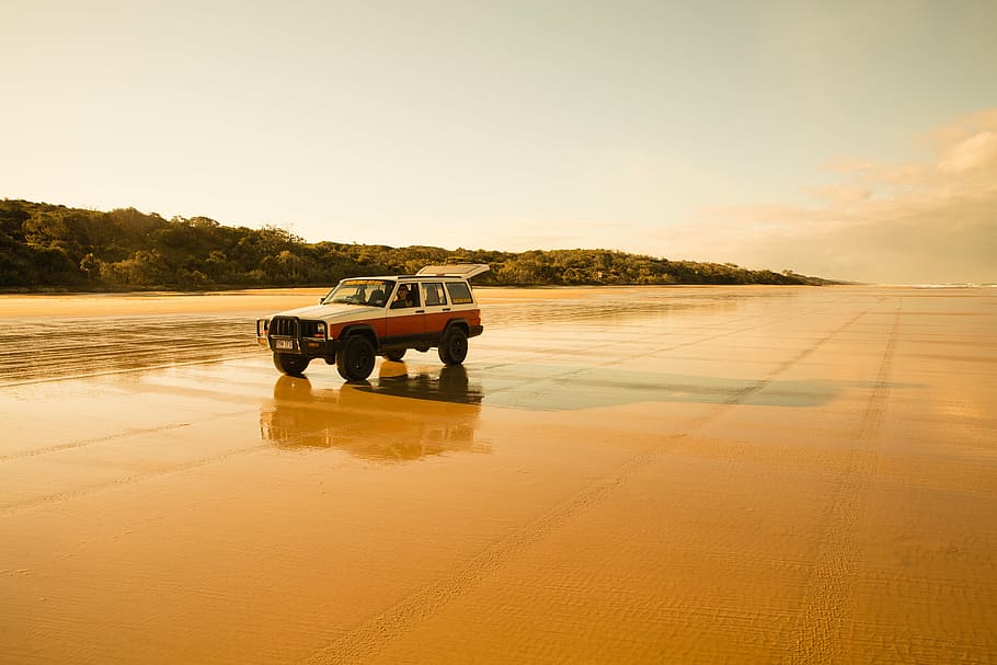 white, brown, suv, running, daytime, fraser island, beach, sand, jeep, far