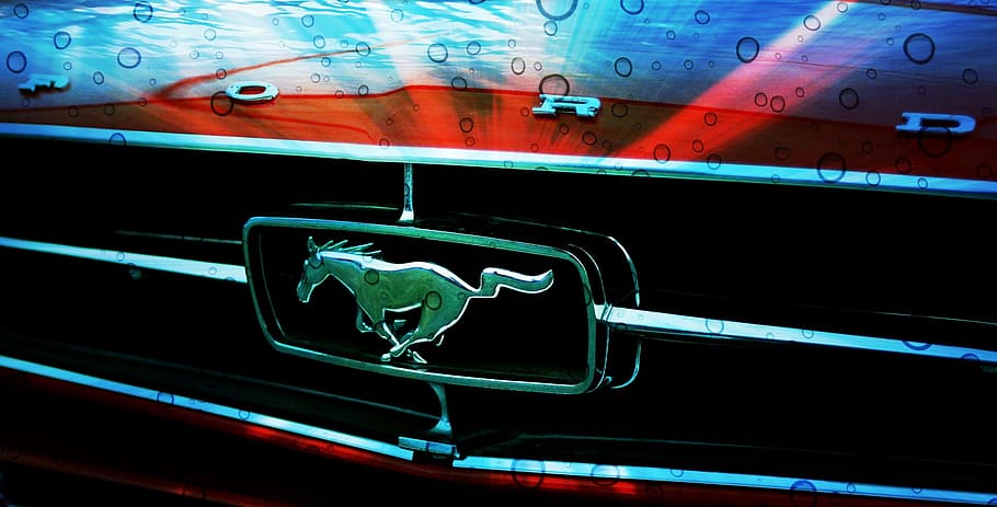 Ford Mustang, Automobile, mustang, ford, car, auto, vehicle, motor, logo, transportation