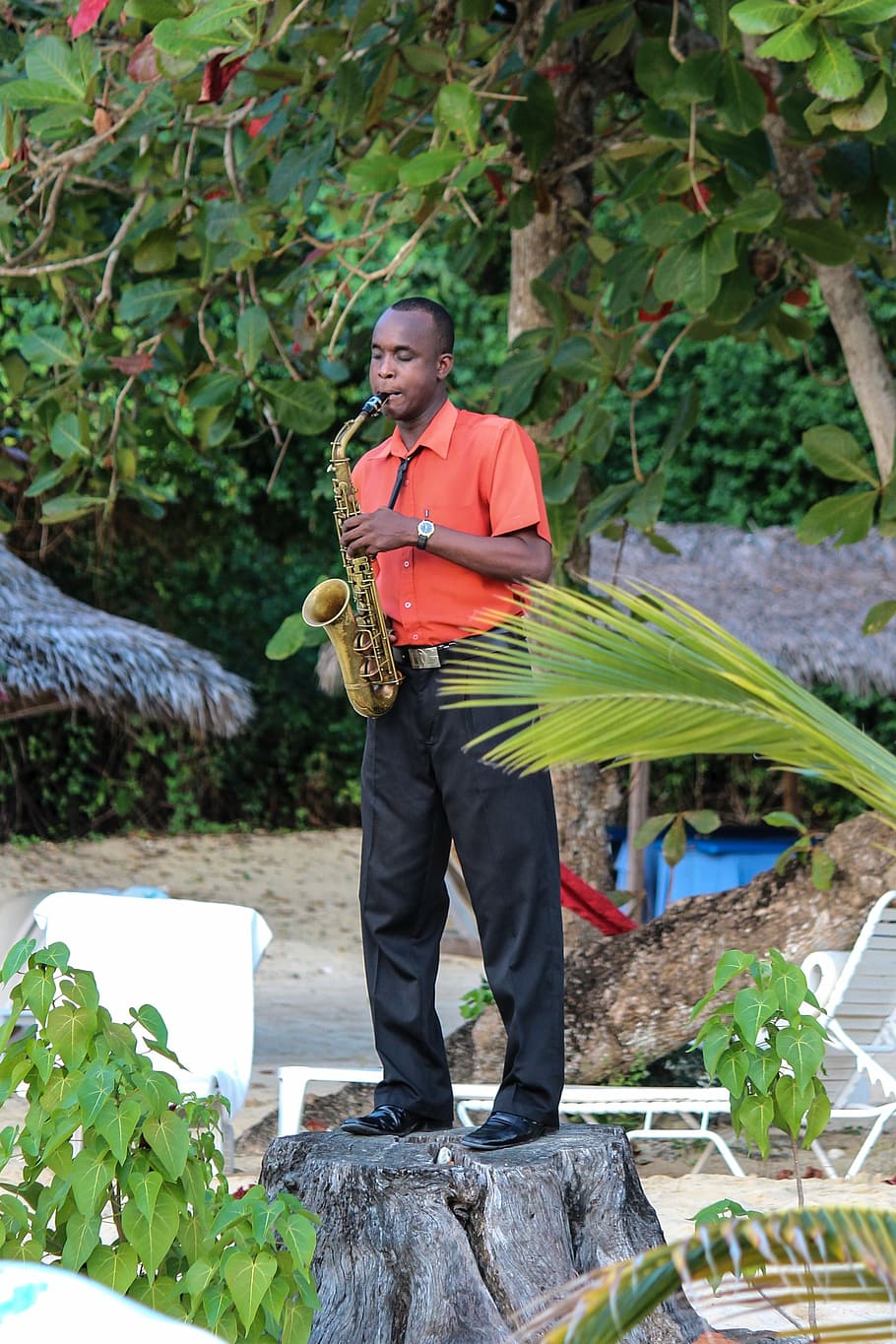 jamaika, saksofon, musik, pantai, musisi, jazz, bermain, instrumen, suara, melodi