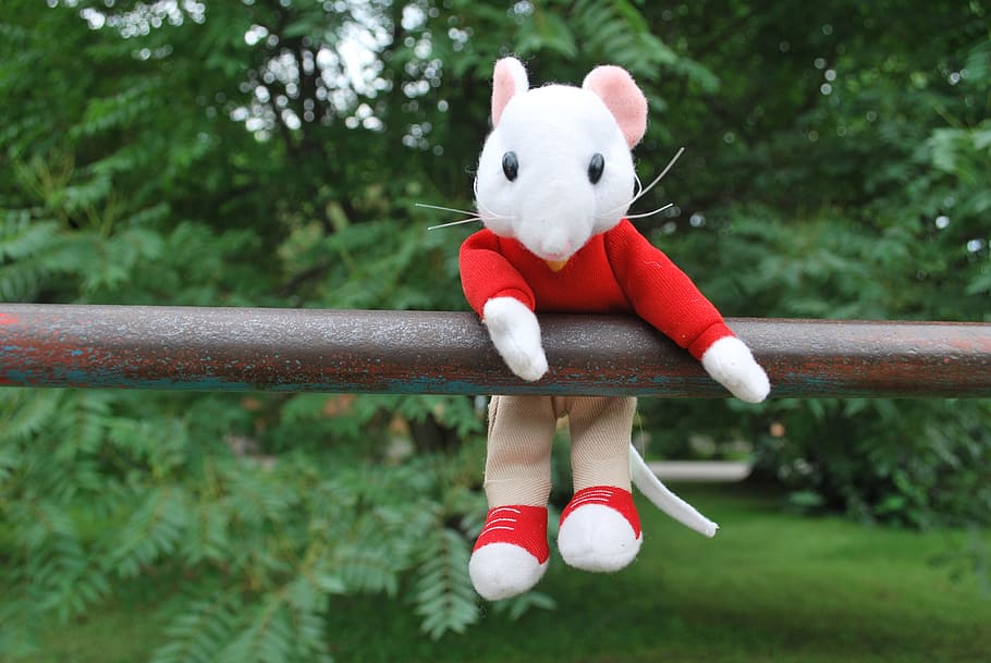 mouse, toy, hanging, outside, nature, stuart, mammal, day, grass, representation
